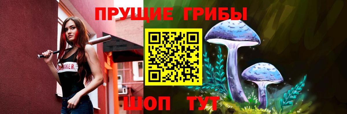 Псилоцибиновые грибы GOLDEN TEACHER Кохма