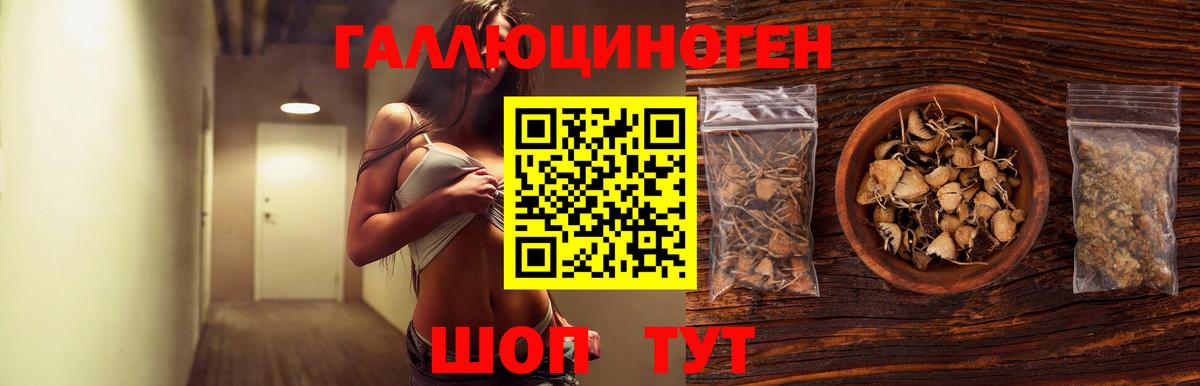 Псилоцибиновые грибы Magic Shrooms  Вход с VPN  Кохма  Псилоцибиновые грибы прущие грибы 