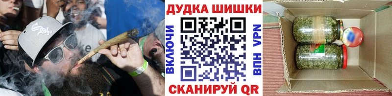 МАРИХУАНА сатива Кохма